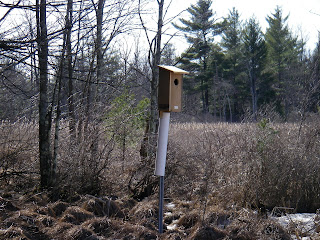 Best Site For Woodworking Plans: Wood Duck House Placement Wooden Plans