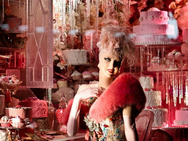 Wunderkammer *