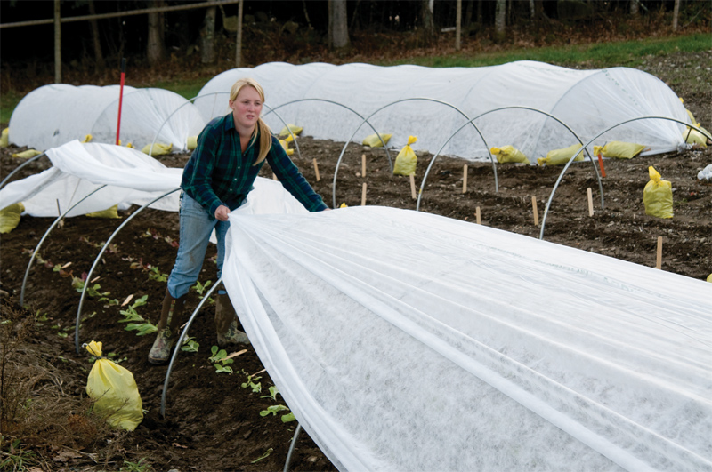 Growing Ideas with Johnny's Selected Seeds Protect Your Investment, Increase Yields with Mulch
