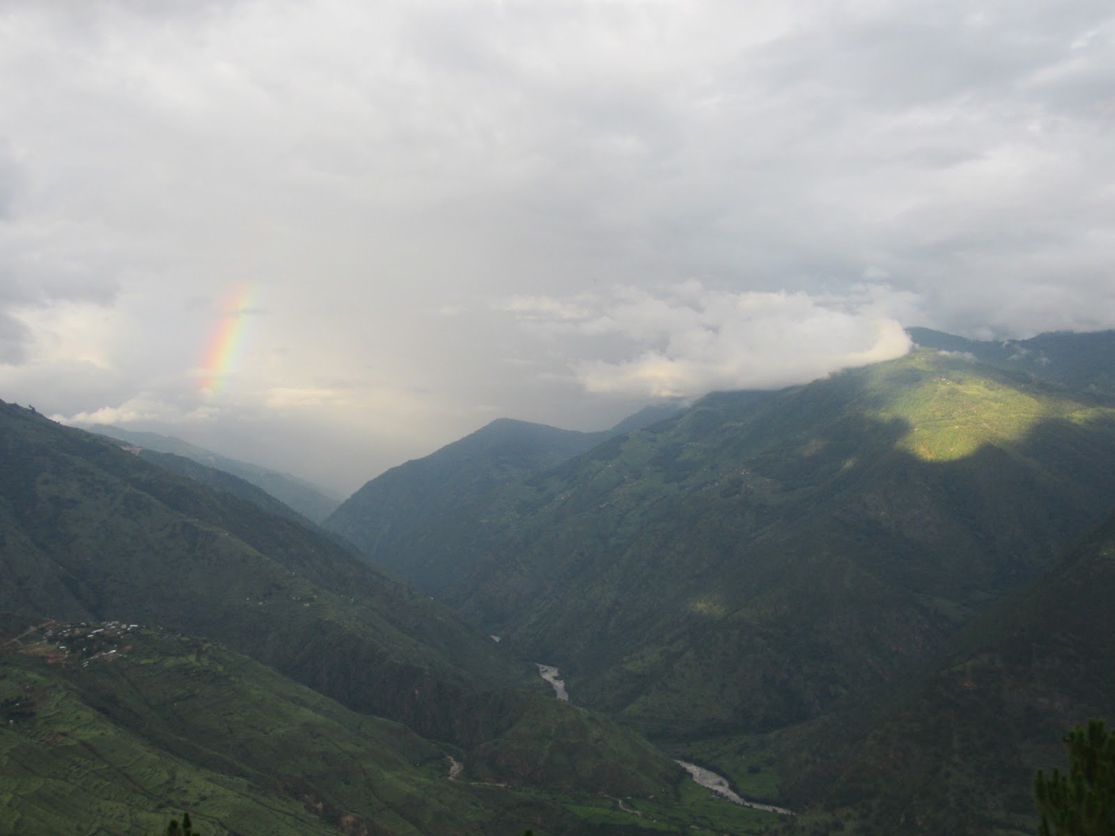 Tiger In A Trance July 2012 Ride captain ride upon your mystery ship, on your way to a world that others might have missed. tiger in a trance july 2012