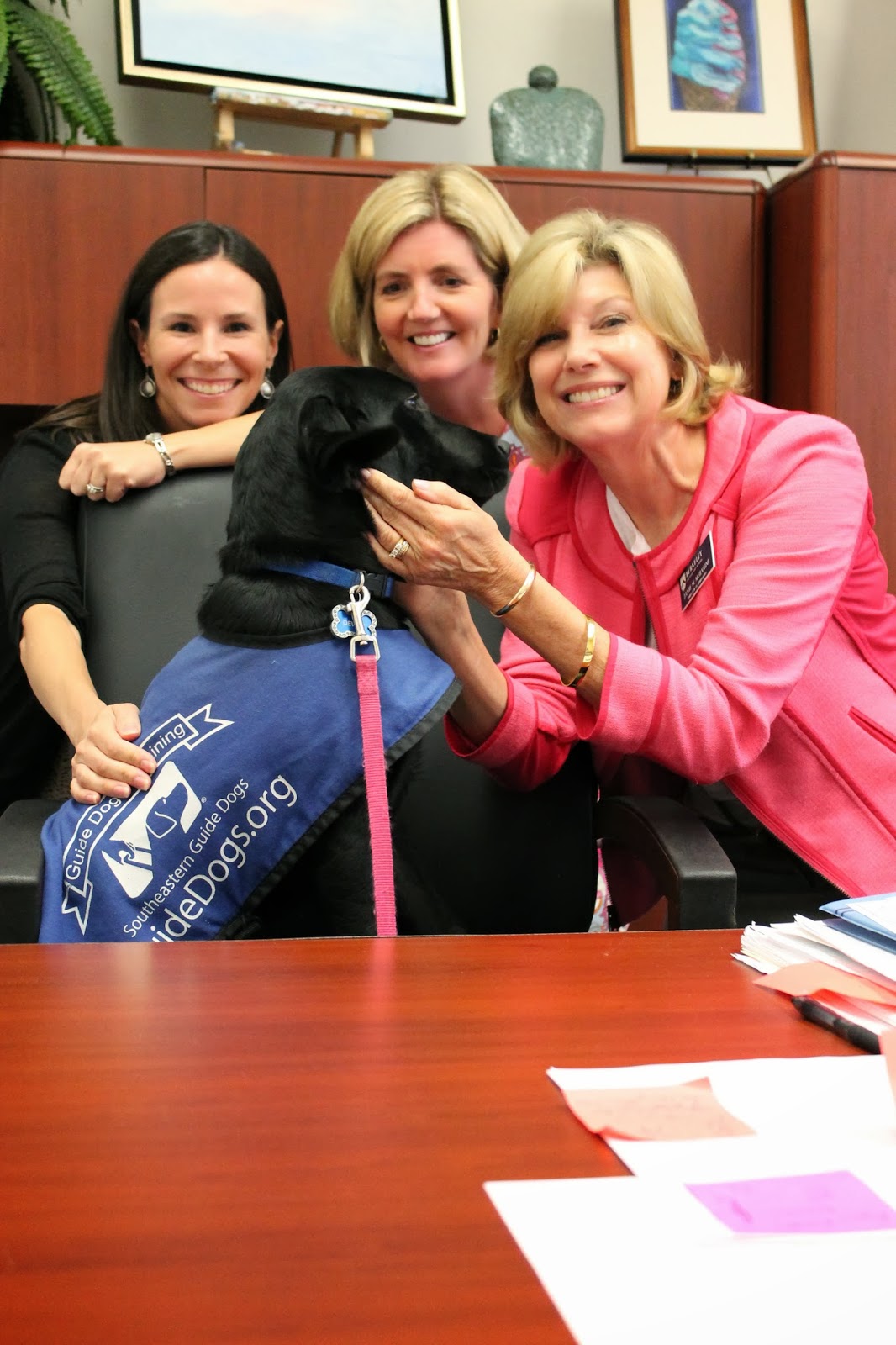 Mclean puppy chronicles: september 2013