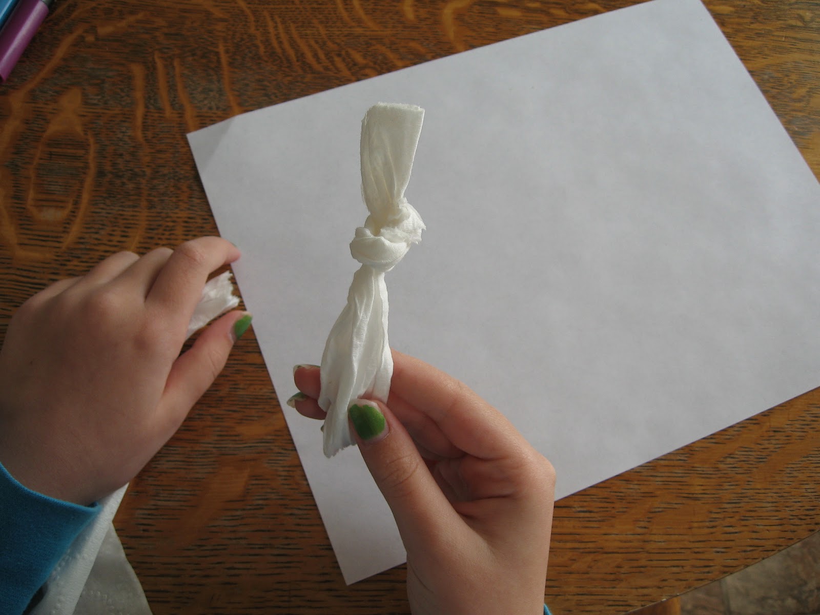 Almost Unschoolers Toilet Paper Dolls