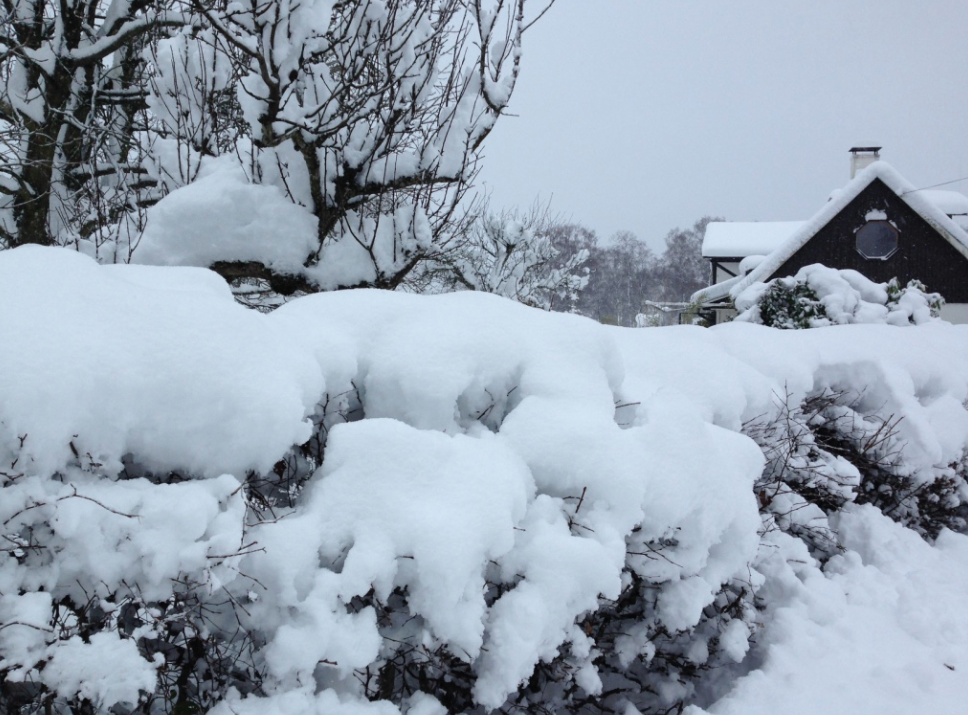 снежная катастрофа 