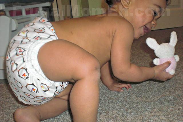 Sweet Pea One Size Cloth Diaper Cover