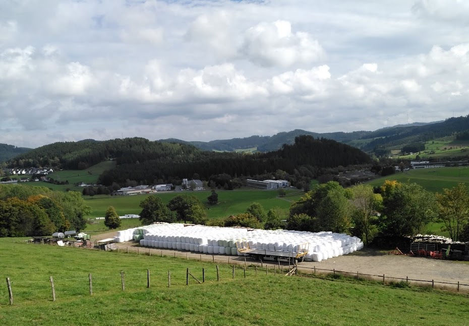 milchundweide