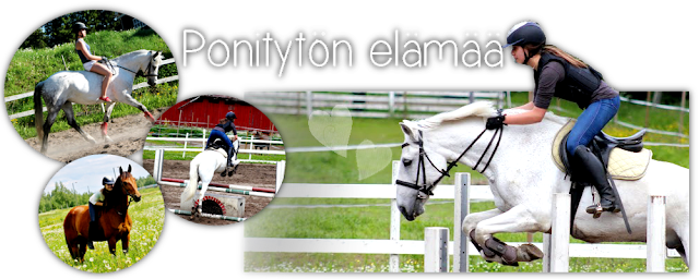 Ponitytön elämää