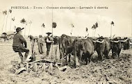 AGRICULTURA