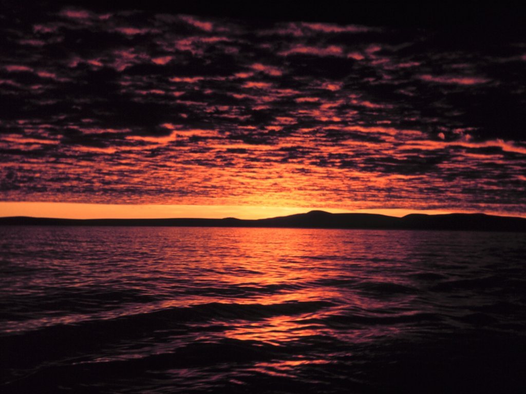 Beach Sunset Wall Murals