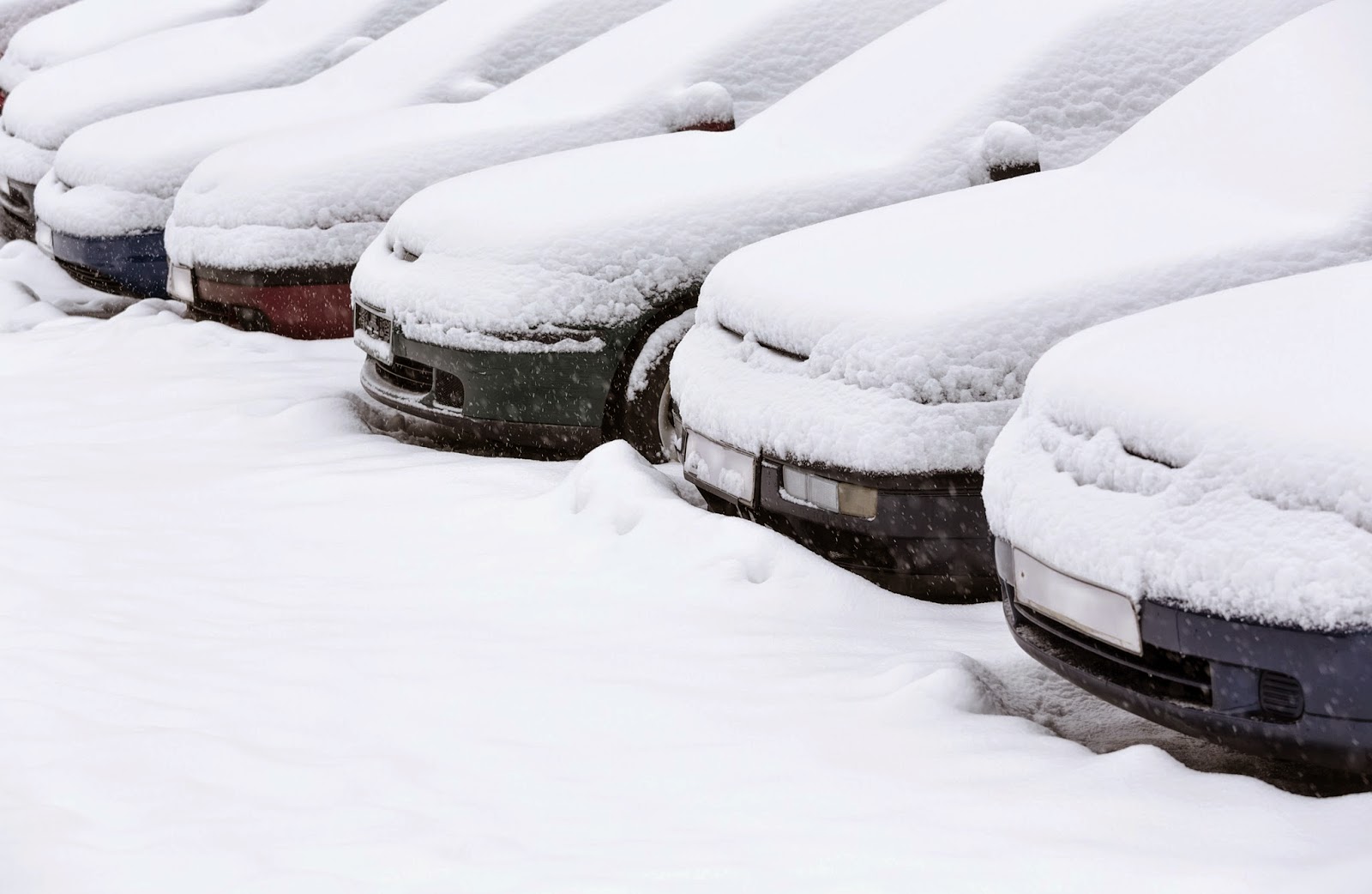 Line of cars covered in snow