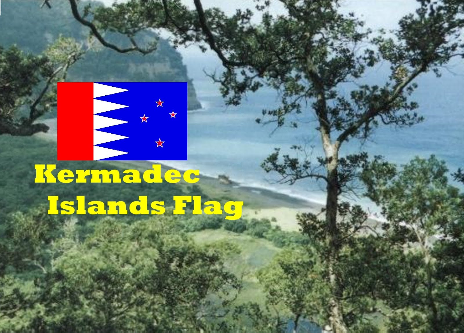 Red flags when dating someone new-in-South Island