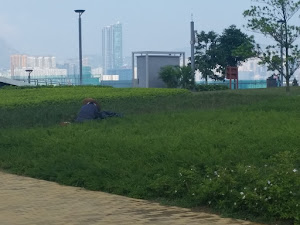 見下文 見下文