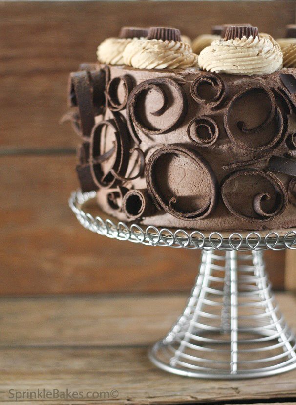 sprinkle+bakes+peanut+butter+cup+cheesecake+cake+V.jpg