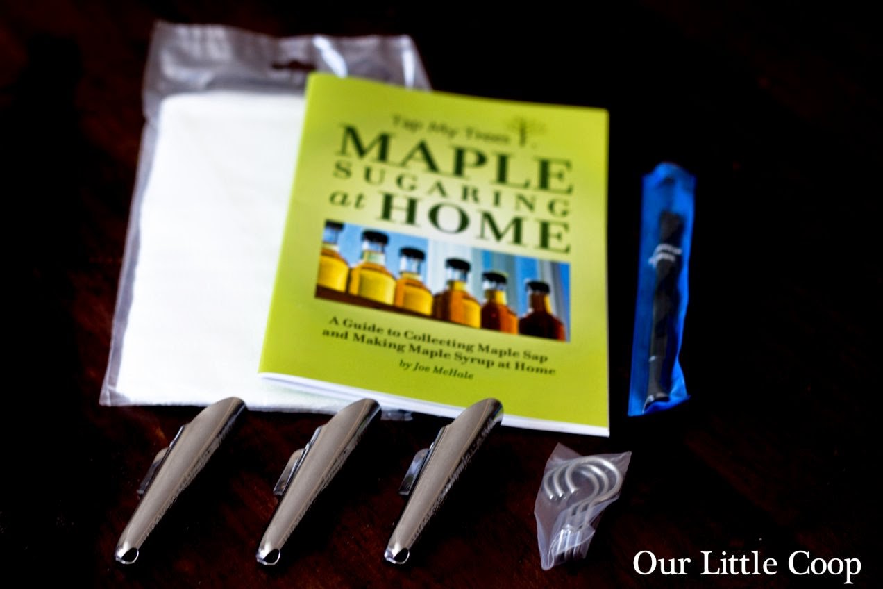 Tap my trees maple syrup making kit