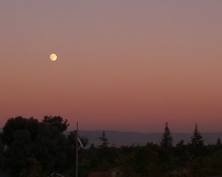 Almost full moon rising in the east in a sunset pink sky