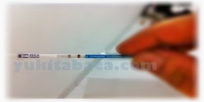 Testpack Hasil uji testpack positif