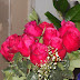 Valentines