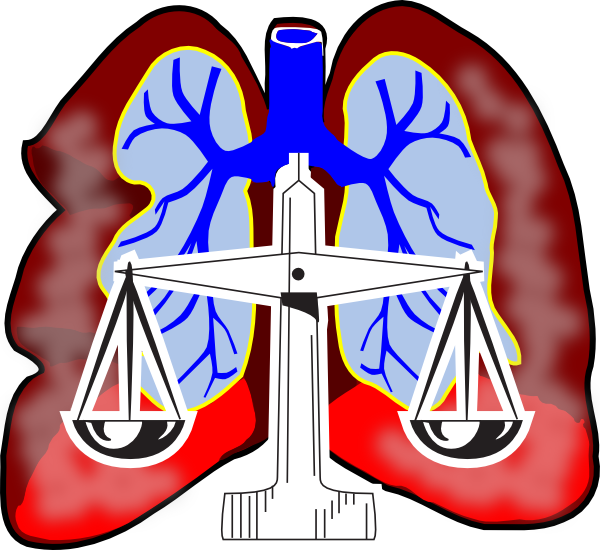 ? What is Mesothelioma law firm