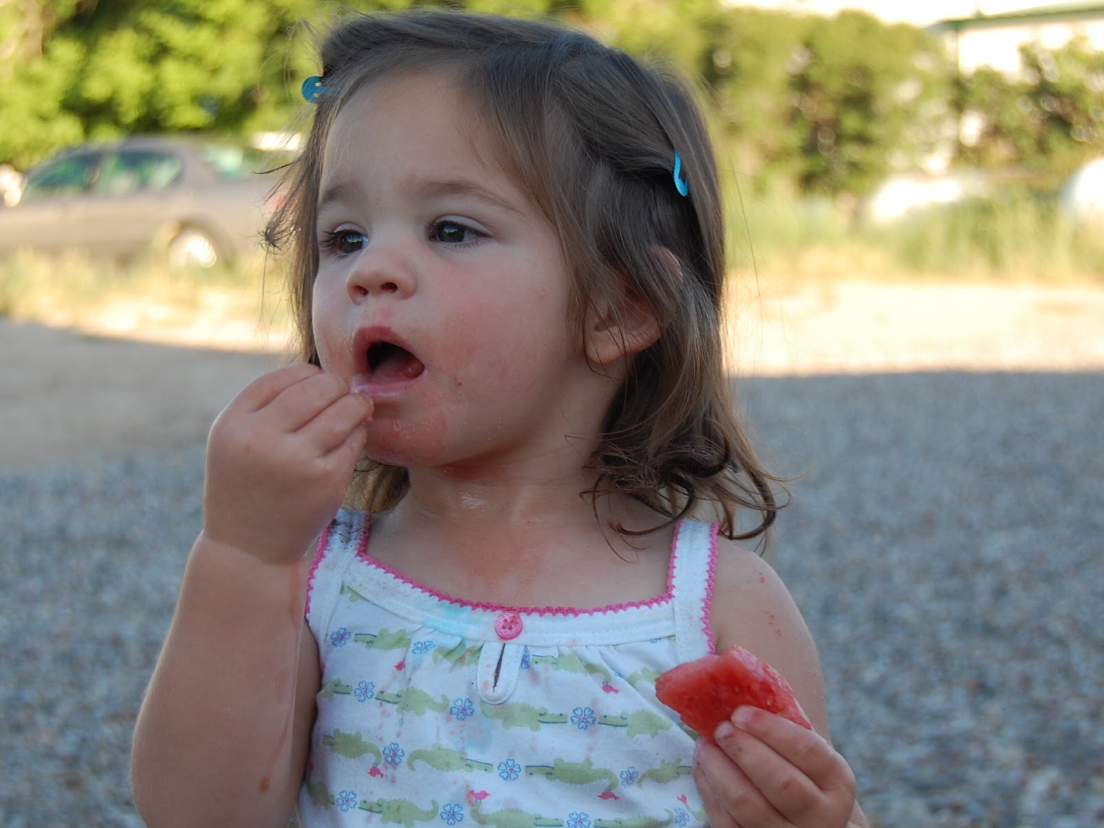 The Best Me {How To} Remove Watermelon Stains