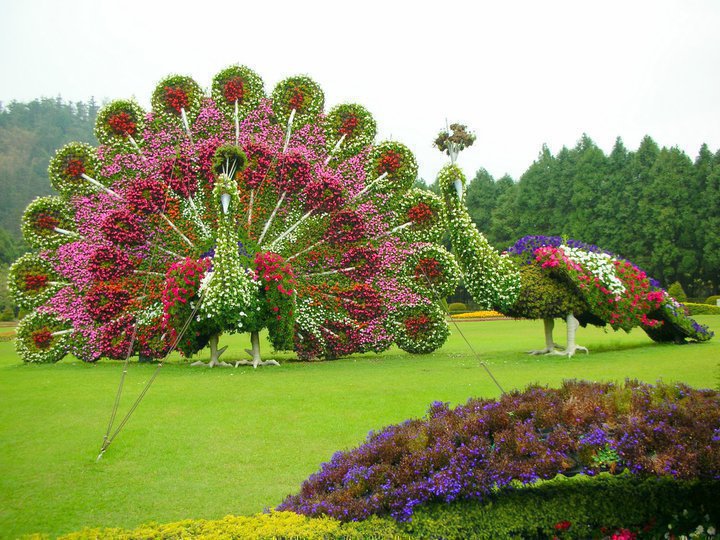 random collections pic of the day beutiful garden