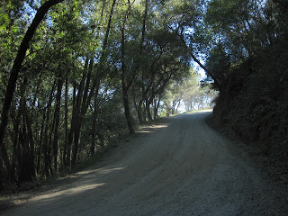 Dirt road beyond the pavement on Mt. Madonna Road near Gilroy, California