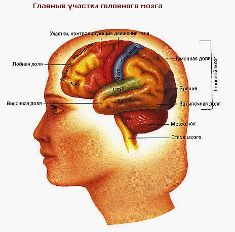 sanyo c5 аккумулятор