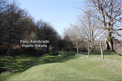 Paso alambrada - Puerto Bikuña