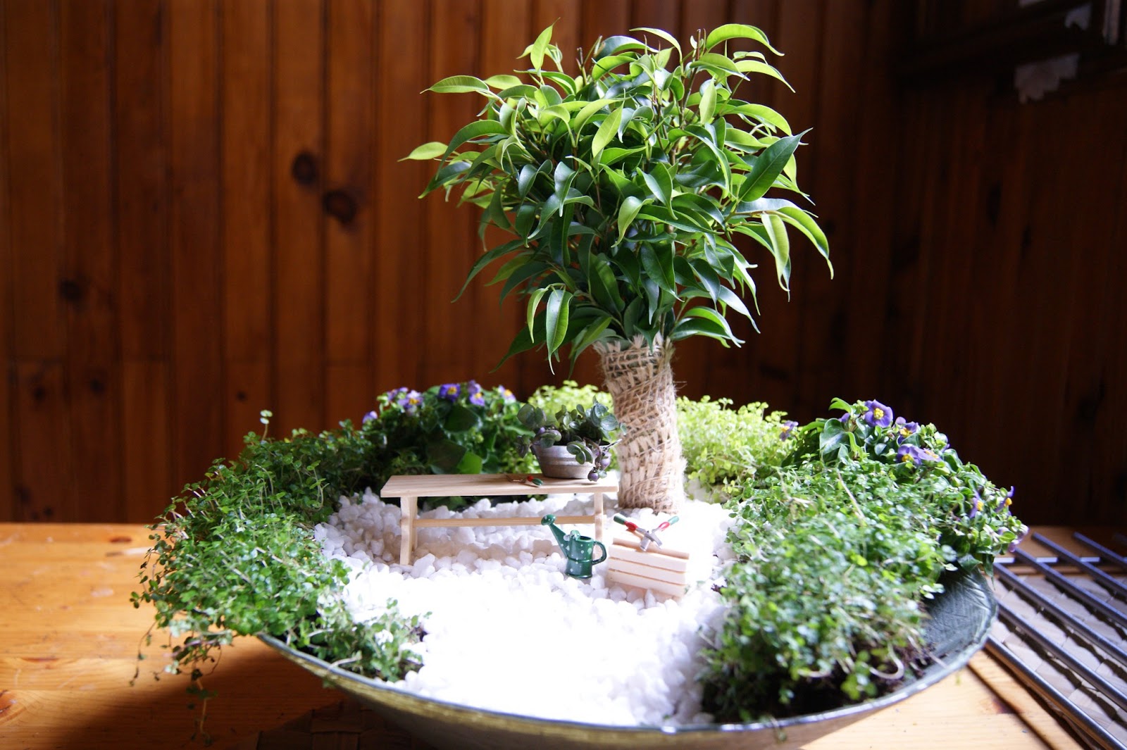 mini jardim apartamento:Mini Jardim – DECORAÇÃO DE INTERIORES mini jardim apartamento:Mini Jardim – DECORAÇÃO DE INTERIORES