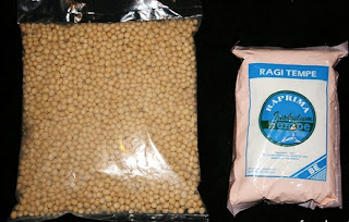 Cara Membuat Tempe Cara Membuat Tempe