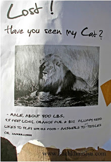 12 Funniest Lost & Found Pet Signs