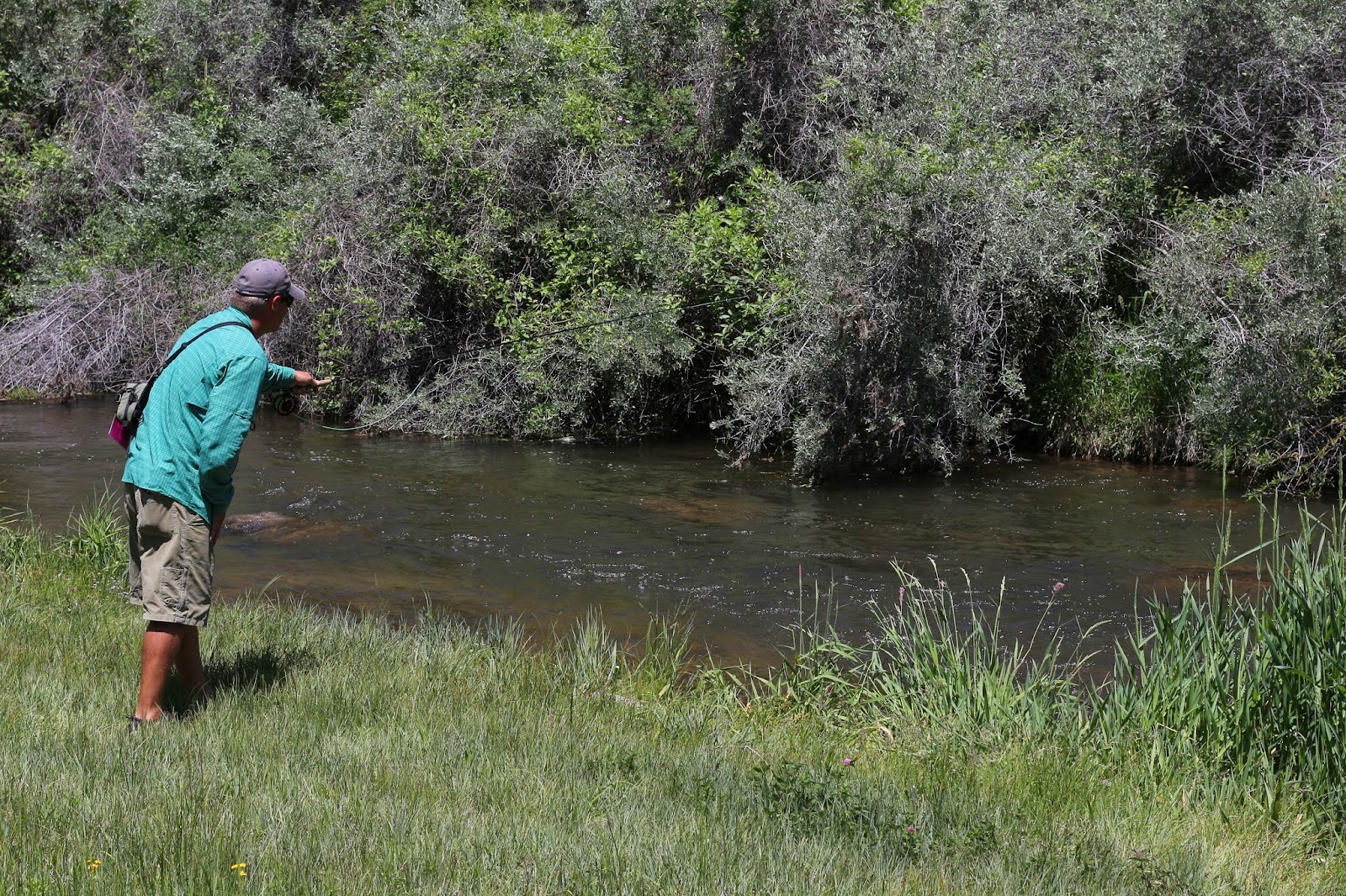 Roaring+Fork+High+Water+Photo+in+Colorado+with+Jay+Scott+Outdoors+7.JPG