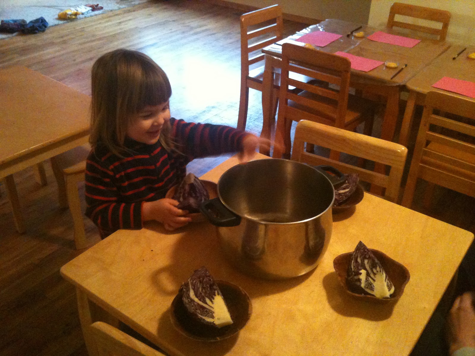 Tumbleweed Infant and Preschool House Red Cabbage Juice An