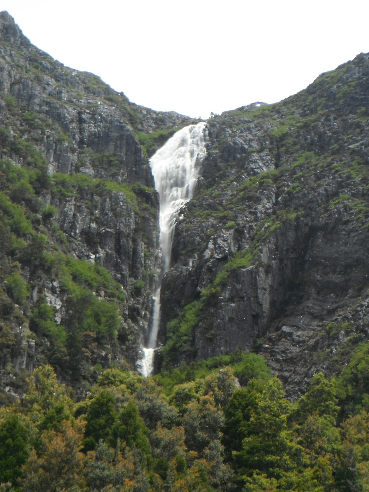 Cradle+Mtn+029.JPG