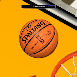 NBA 2K14 HD Orange Spalding Ball Patch