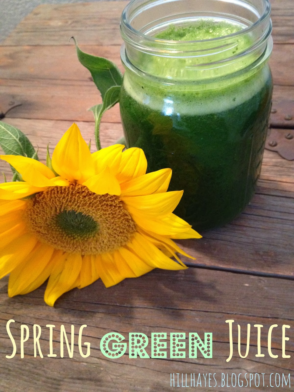 Hillary Hayes To the Trails Eat Happy and Eat Colorful Spring Green