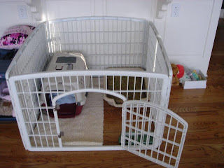 Dog Training Crate Laundry Dog Training Crate Laundry