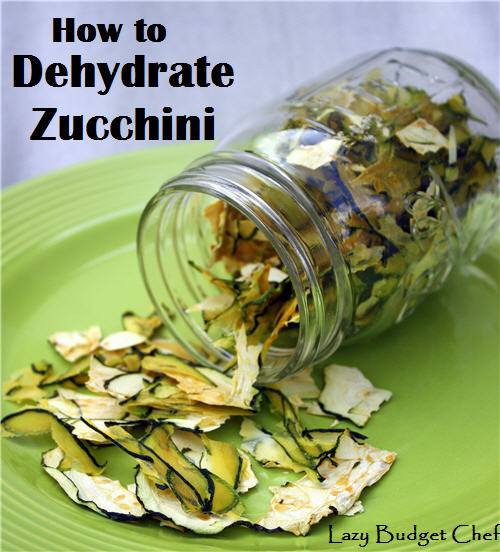 Lazy Budget Chef How to Dehydrate Zucchini