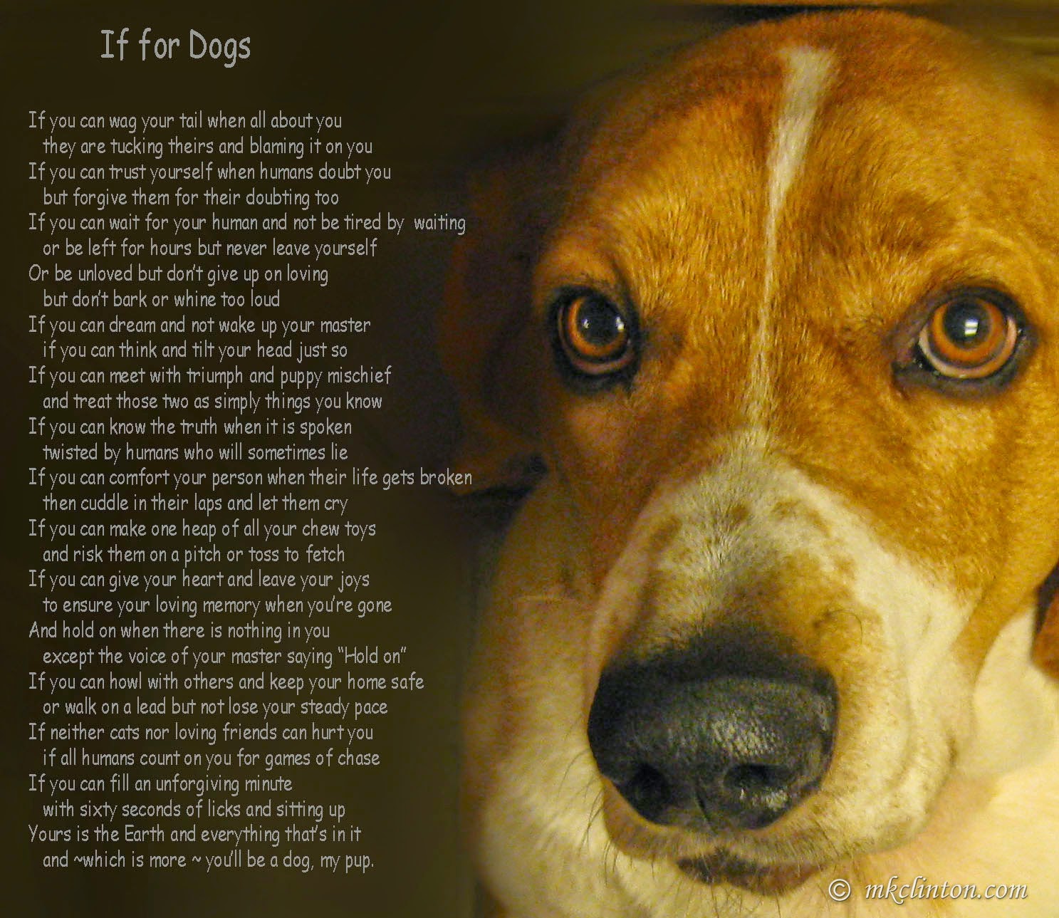 dogs kipling rudyard quotes dog barking poem poems thank poetry bayou