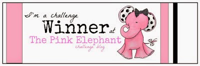 I WON at The Pink Elephant
