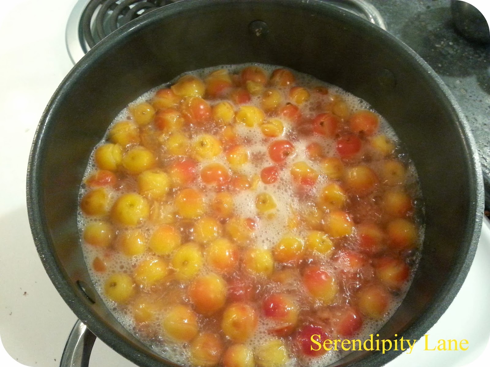 Serendipity Lane Crabapple Jelly