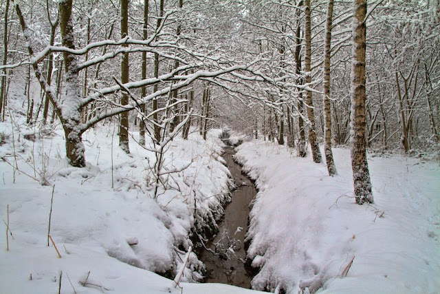 Mill Race in the Snow