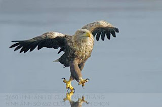 3650 hình ảnh đi cùng năm tháng (66) 3650 hình ảnh đi cùng năm tháng (66)