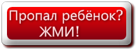 ПОДАТЬ ЗАЯВКУ НА ПОИСК РЕБЁНКА