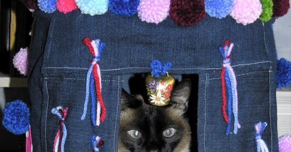 merlin akademi kedi oyun evi
