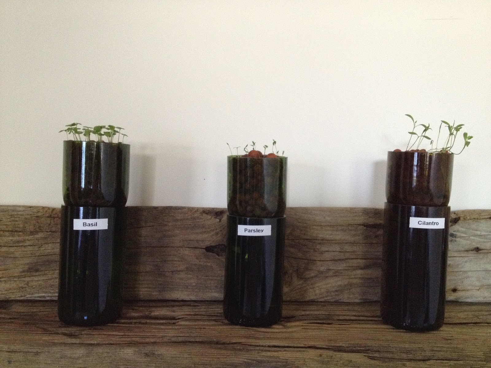 My Wild Thing and Twinkle Toes: Visual Guide: Make your own Hydroponic