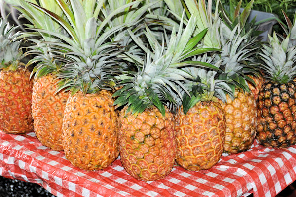 http://4.bp.blogspot.com/-2tfZ8w7sGx8/Tk_uQ1fL17I/AAAAAAAAEmY/VWuYaI-CmN8/s1600/Pineapples%2Bat%2BHilo%2BFarmers%2BMarket%2Br.jpg