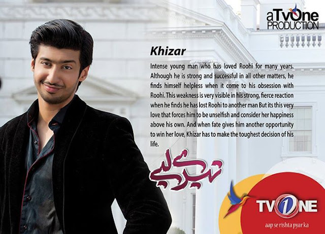 A story of intense passion, , betrayel and Loyalty Tere Liye Cast Role - Story