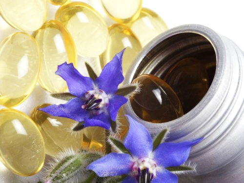 Borragem - elimina toxinas, faz perder peso, combate sintomas de depressão http://www.ervasmedicinaiscuram.com/