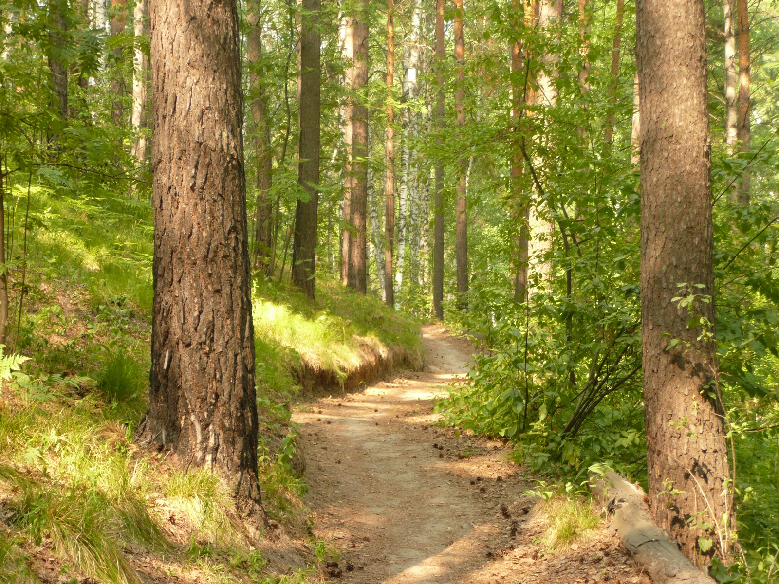 rencontres pour faire apprendre