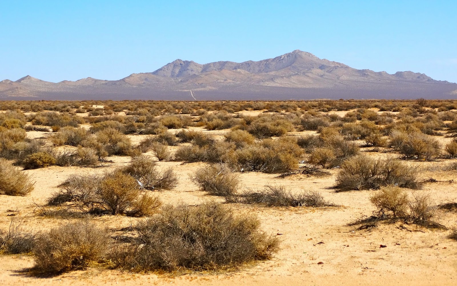 Our Four Wheel Camper Cuddeback Lake The Au Berg Meteorite Expedition