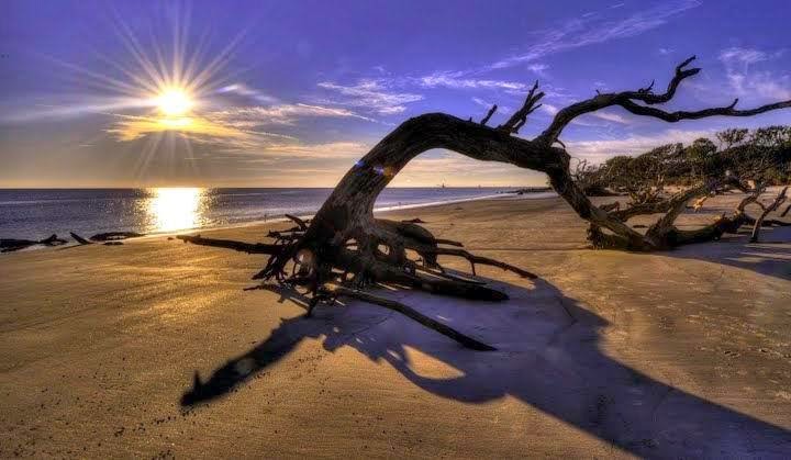 Jekyll Island Glass Floats For Sale Jekyll Island Glass Floats For Sale